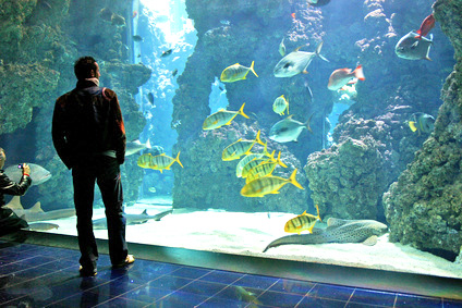 Vasca pesci tropicali all'acquario di Genova